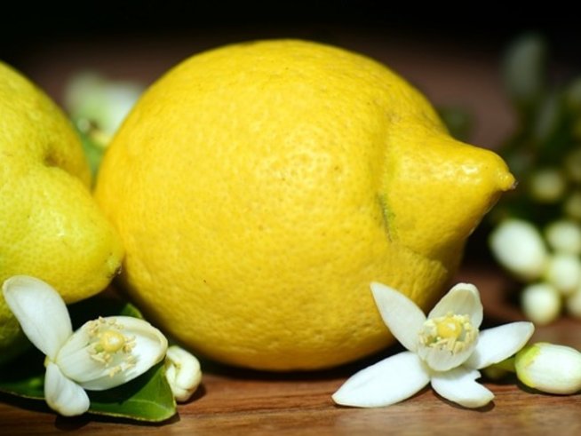 Снимка: pixabey