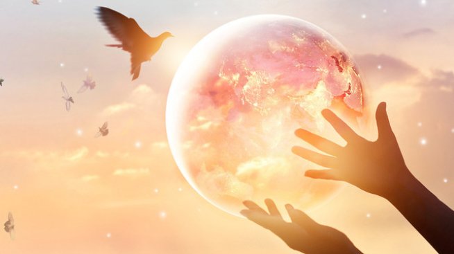 Снимка: istock