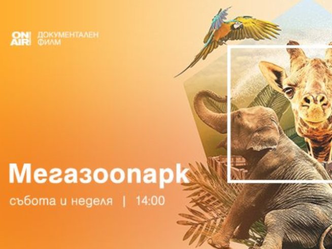 Документалната поредица „Мегазоопарк“ тръгва премиерно по Bulgaria ON AIR