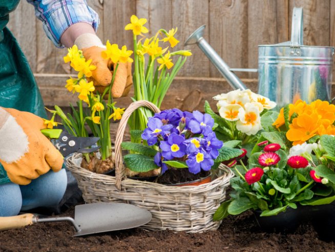 Снимка: thinkstock