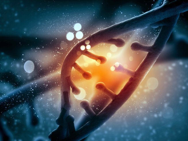 Снимка: Thinkstock