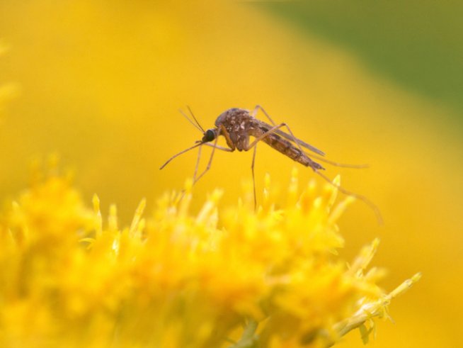 Снимка: thinkstock