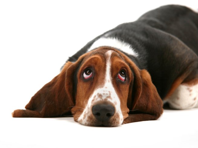 Снимка: Thinkstock