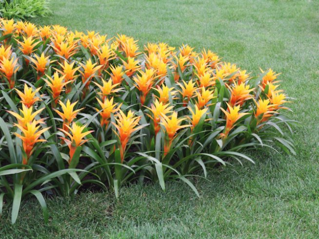 Снимка: Thinkstock