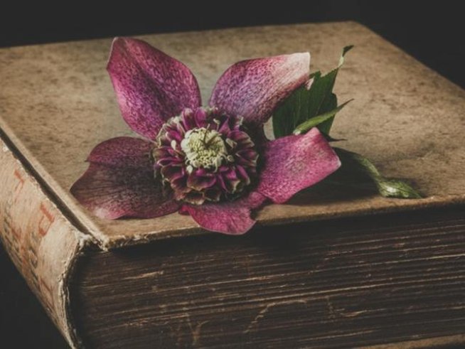 Снимка: Pexels