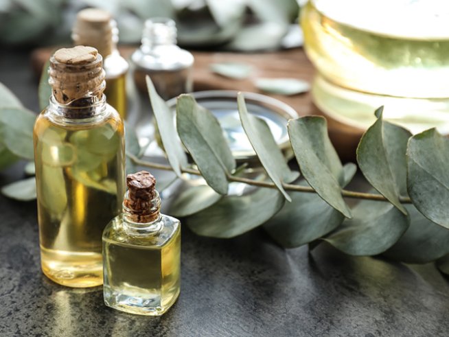 Снимка: istock