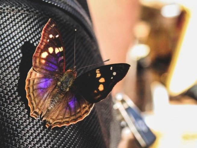 Снимка: pexels