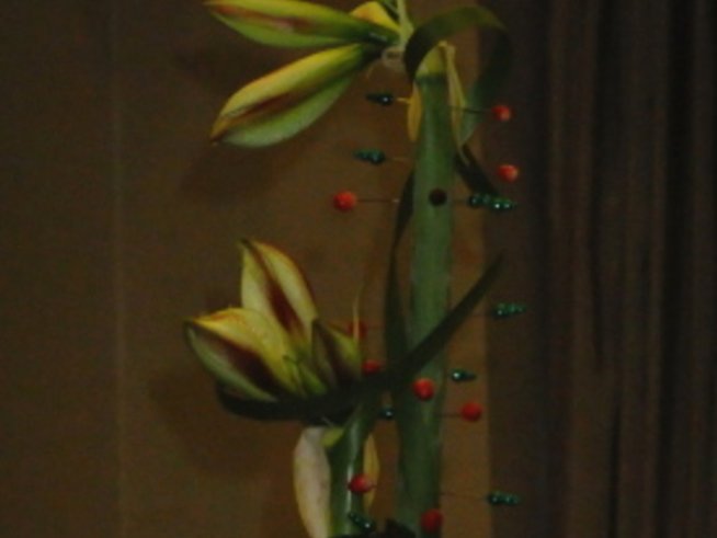 Секретарката обича цветя, увити в джинси