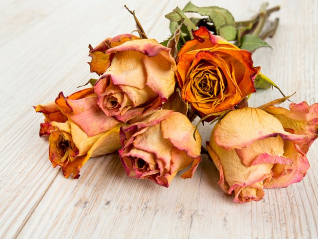 Снимка: istock