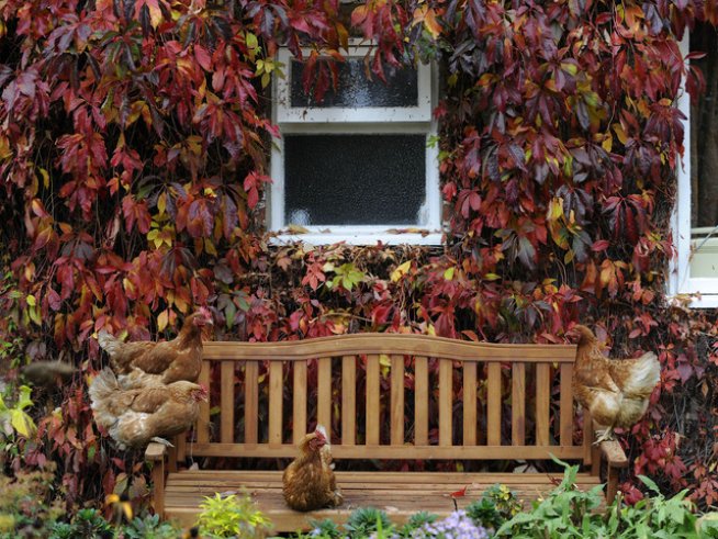 Снимка: Reuters