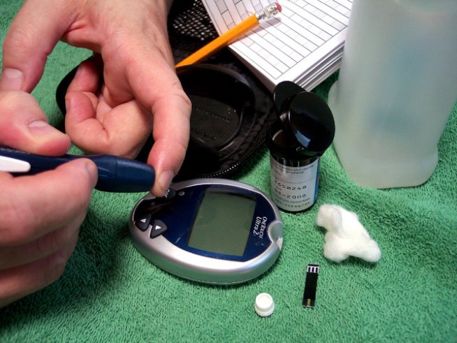 Снимка: morguefile.com