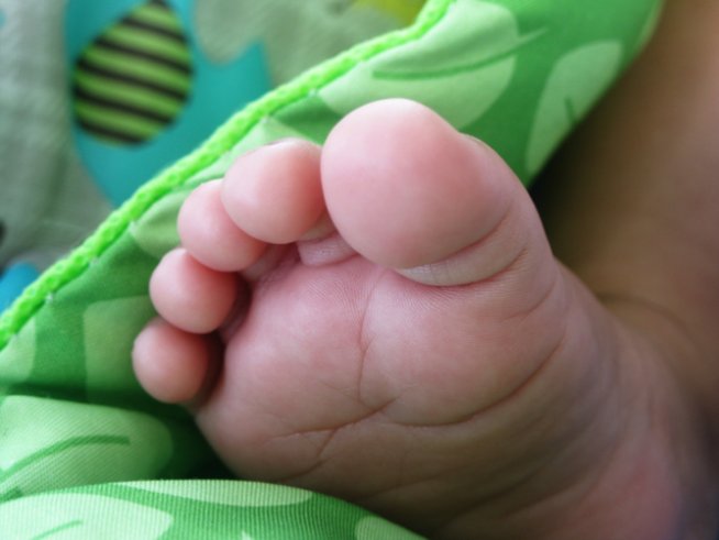 Снимка: Sxc.hu