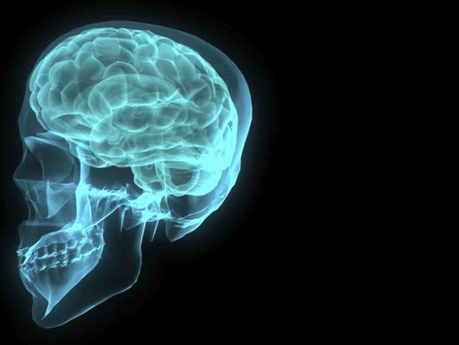 Снимка: Sxc.hu