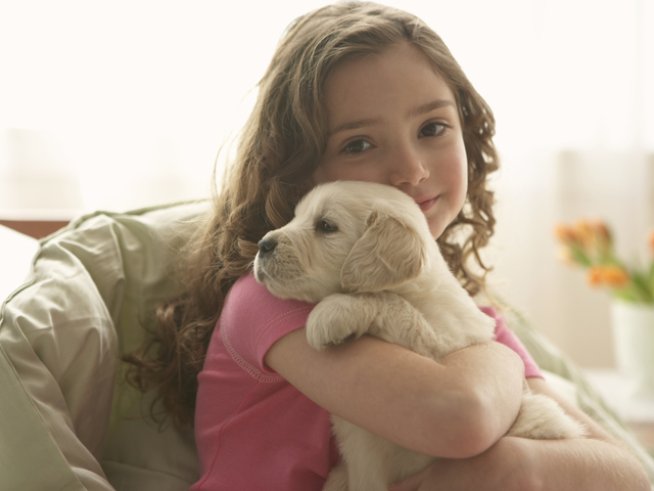 Снимка: Thinkstock