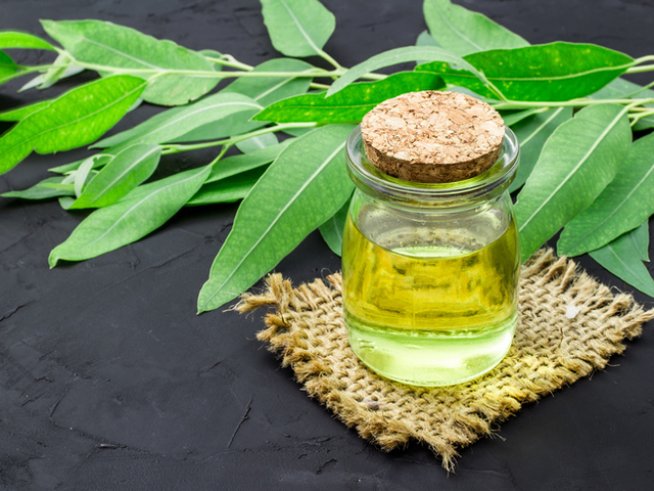 Снимка: istock