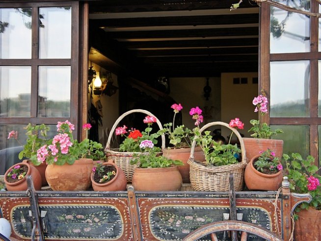 Снимка: Надежда Маринова