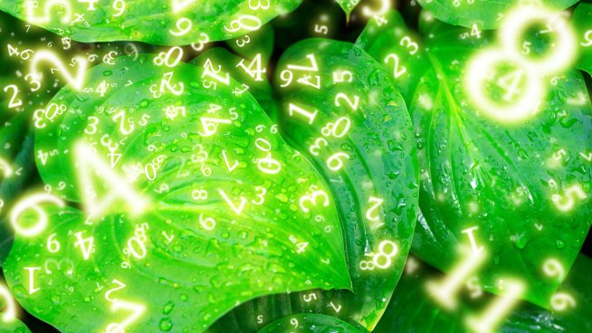 Нумерологична прогноза за 18 август. Снимка: istock