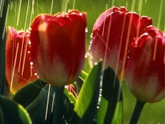 Пролетна буря