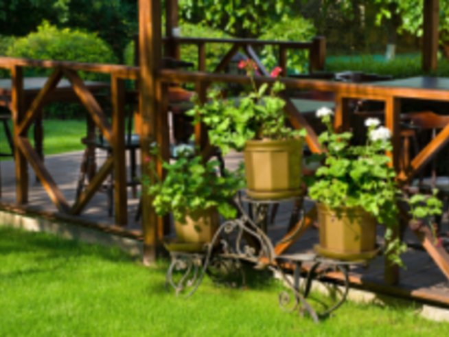 Цветя на балкона – подгответе се отрано