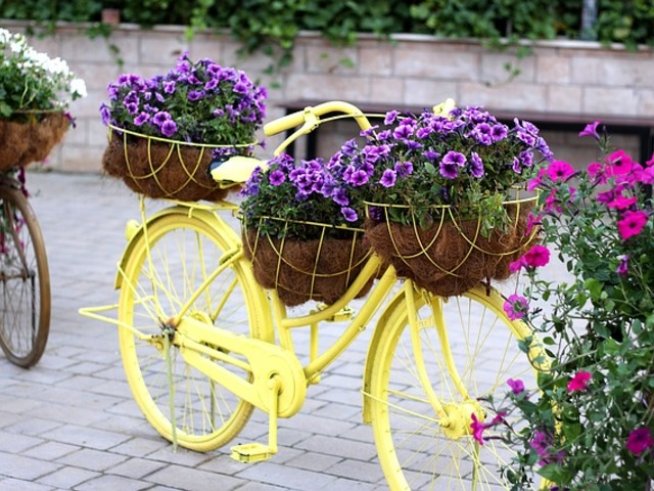 Снимка: pixabay