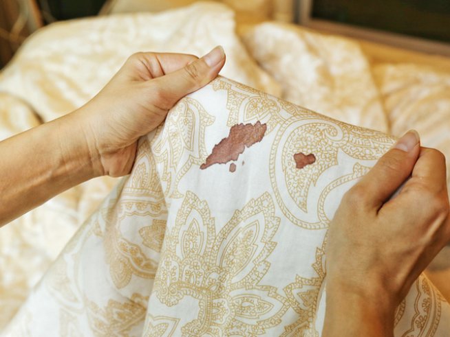 Снимка: istock