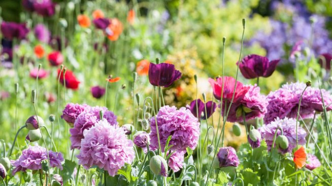 Кой празнува на Благовещение? Снимка: istock