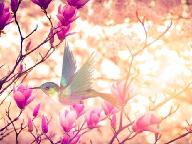 Снимка: pixabay