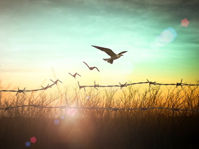 Снимка: istock