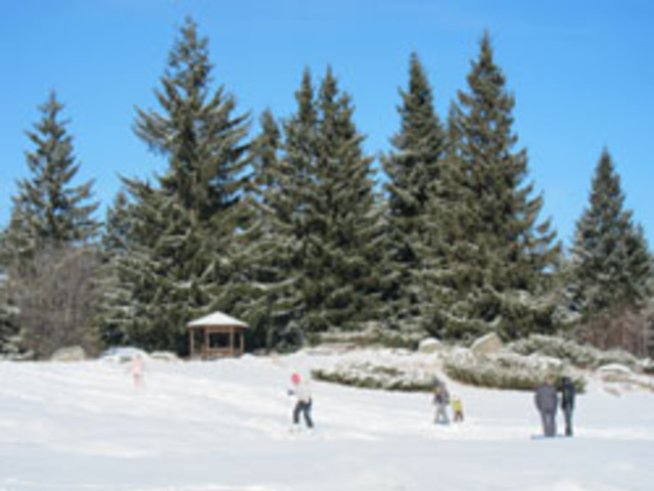 Грипна ваканция – в мол-а или на Витоша