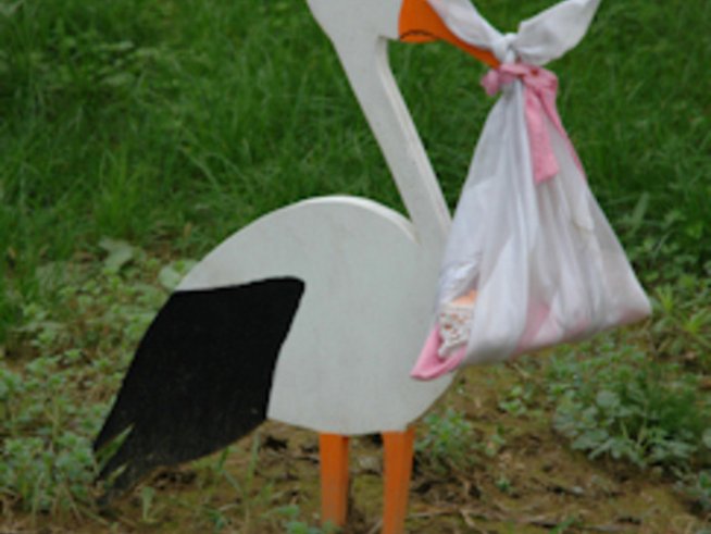 Бременност седмица 2: Вече сме на път!