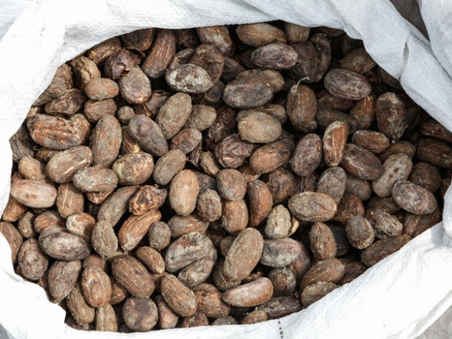 Снимка: istock