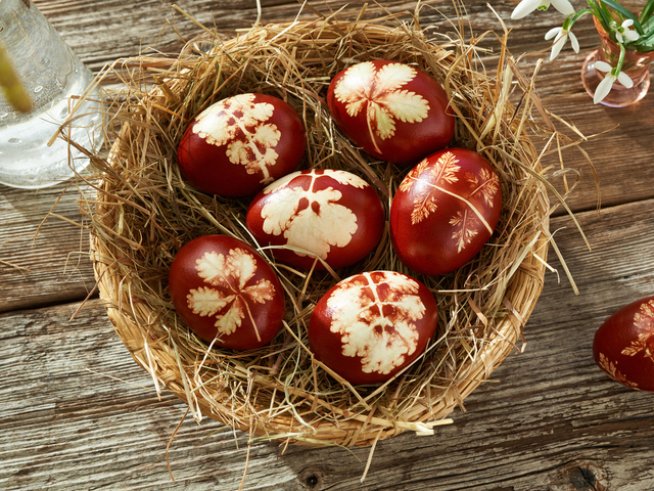 Снимка: istock