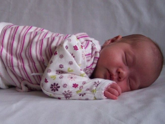 Снимка: sxc.hu