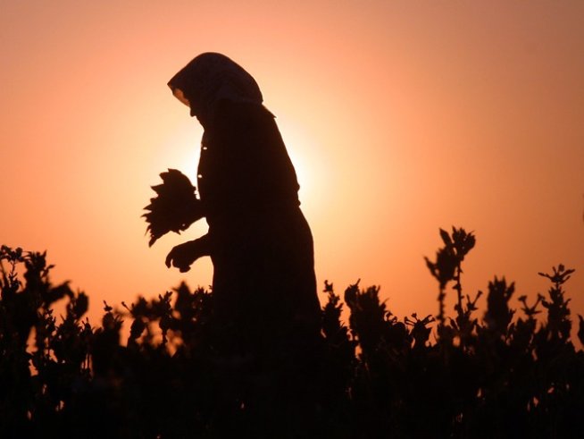 Снимка: Импакт прес груп