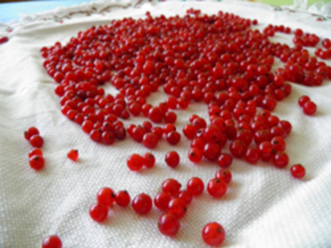 Френско грозде – малки перли аристократичност