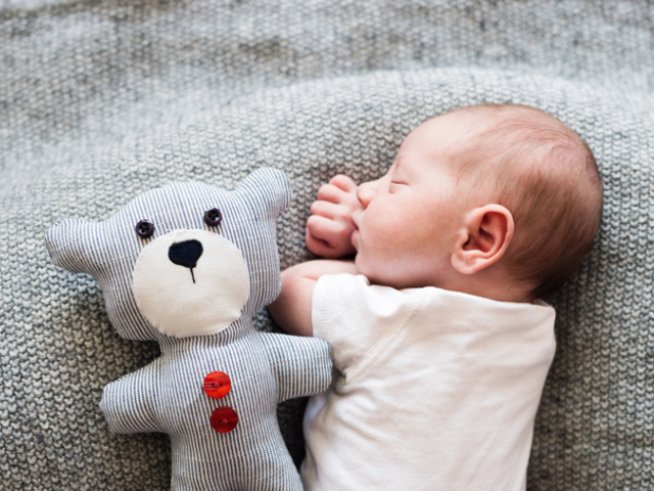 Снимка: istock