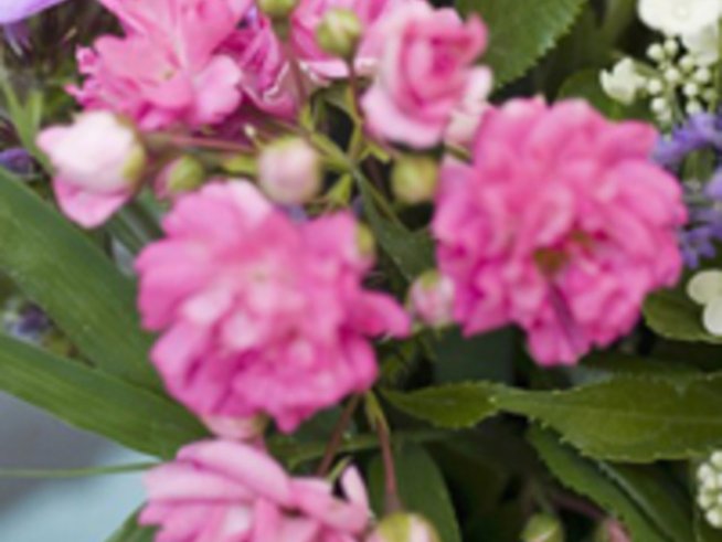 Цветница – надежда за възкресение