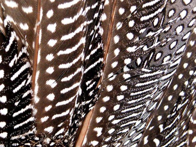 Снимка: Sxc.hu