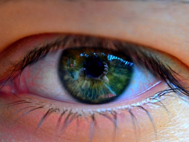 Снимка: Sxc.hu