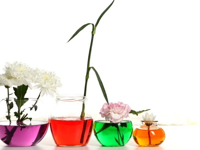 Снимка: photl.com