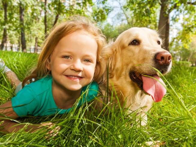 Снимка: iStock