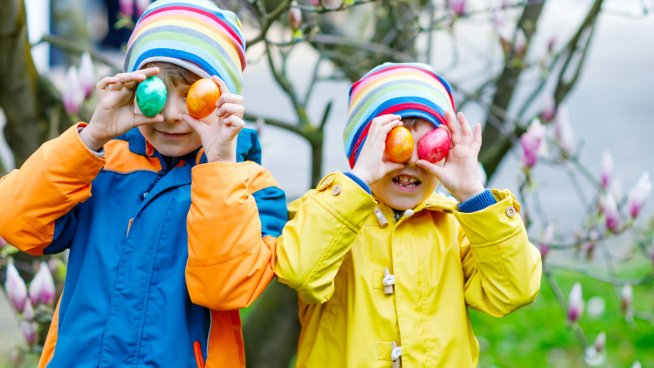 Снимка: iStock