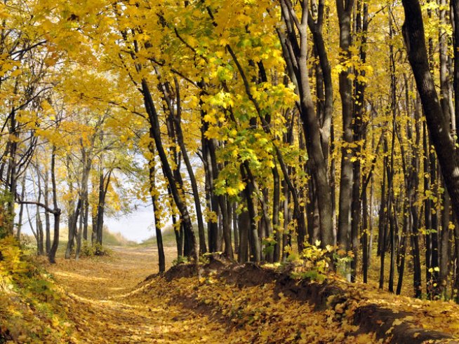 Снимка: Sxc.hu