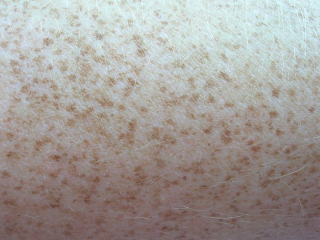 Снимка: Sxc.hu