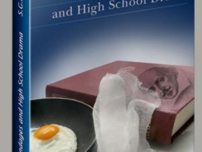 Уникален роман: на английски език и 16-годишна авторка!