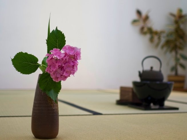 Снимка: Чадо Урасенке Танкокай България