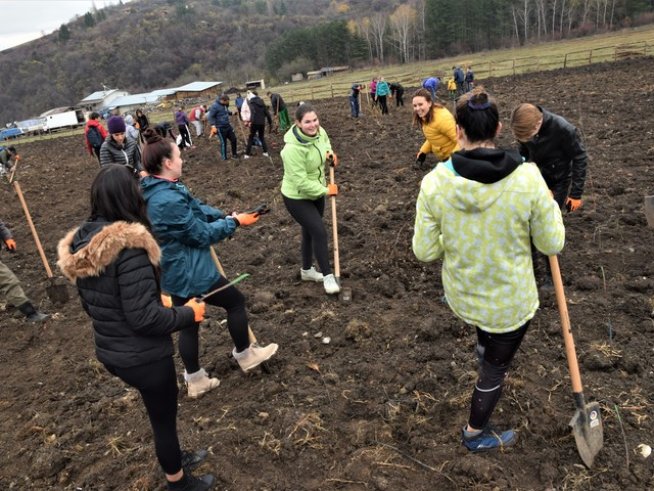 Студенти на ВУЗФ засадиха дръвчета в Новата гора на София