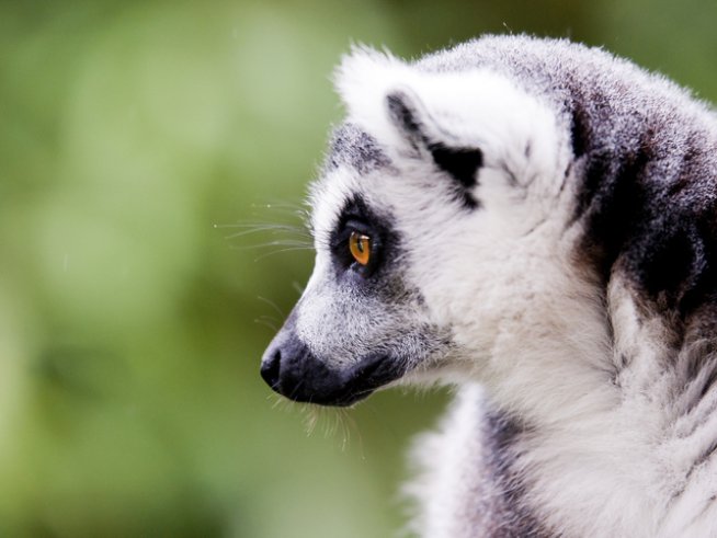 Снимка: thinkstock