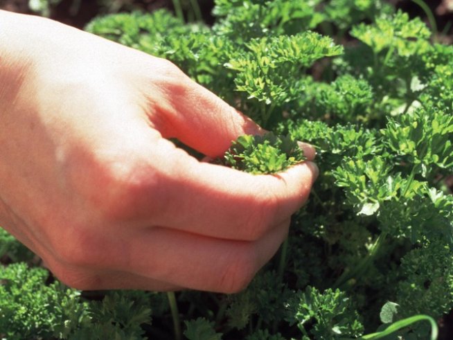 Снимка: Sxc.hu