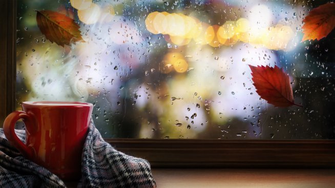 Три карти разкриват каква есен ви очаква. Снимка: istock